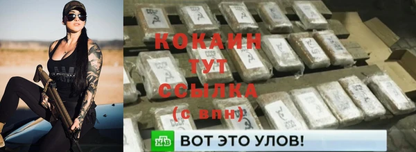 сатива Абаза