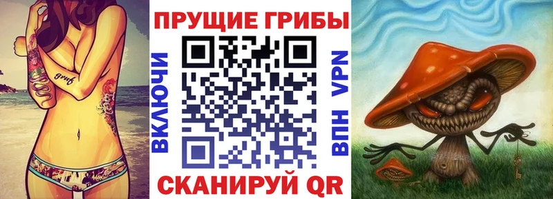 блэк спрут ссылка  Ессентукская  Галлюциногенные грибы Psilocybe  магазин продажи  